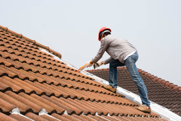 Best Roof Maintenance and Cleaning  in USA